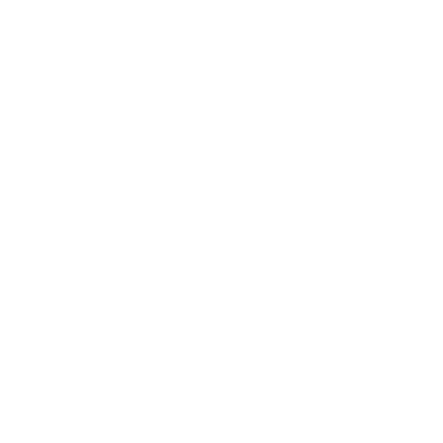 Texas athletics logo